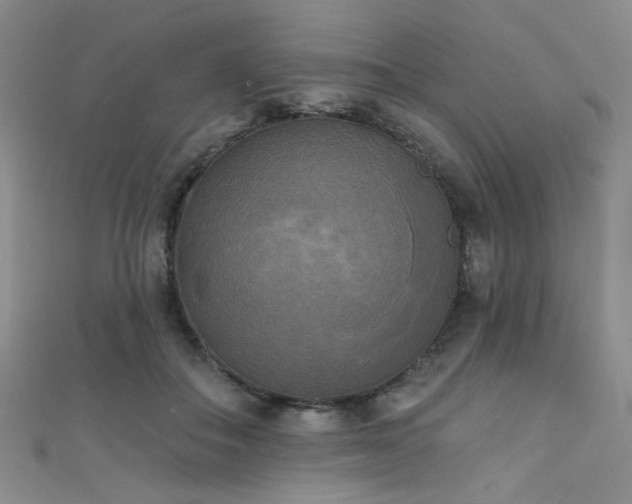 X0000111480506200907141220