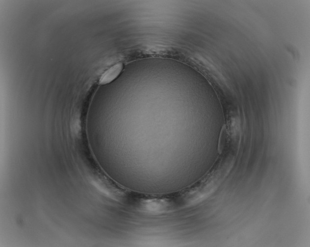 X0000111480508200907141220