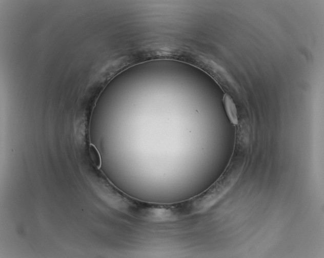 X0000111480509200907141220