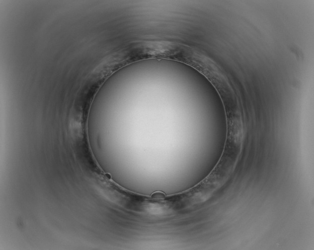 X0000111480510200907141220