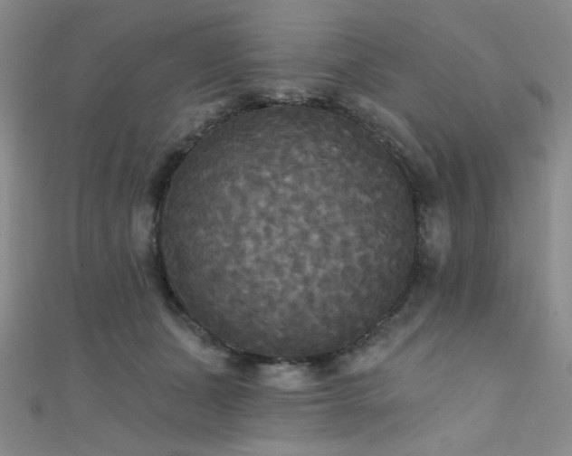 X0000111480511200907141220