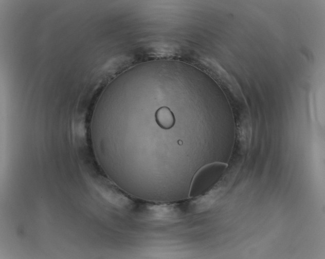 X0000111480516200907141220