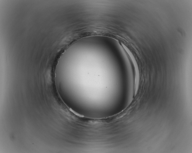 X0000111480520200907141220