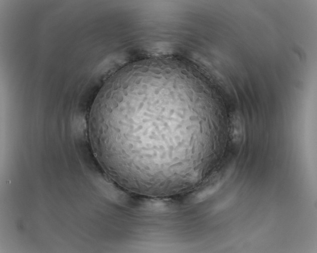 X0000111480523200907141220