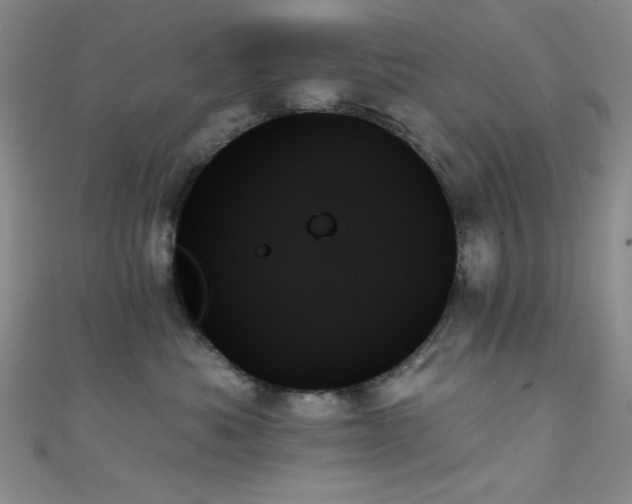 X0000111480525200907141220