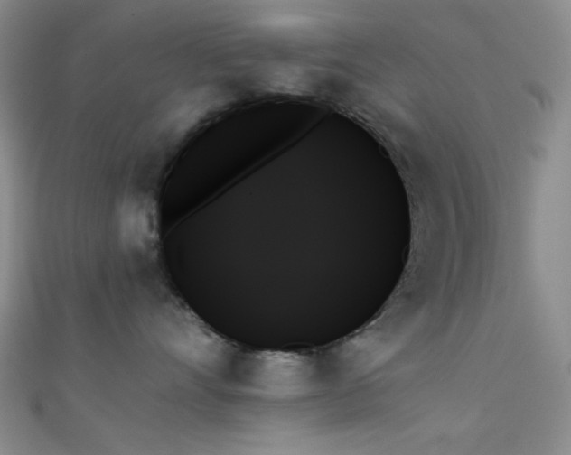X0000111480528200907141220
