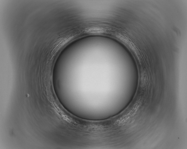 X0000111480529200907141219