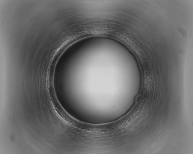 X0000111480530200907141219
