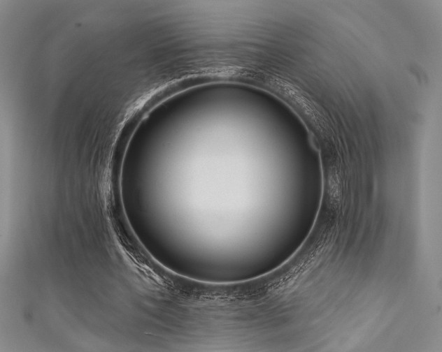 X0000111480532200907141219