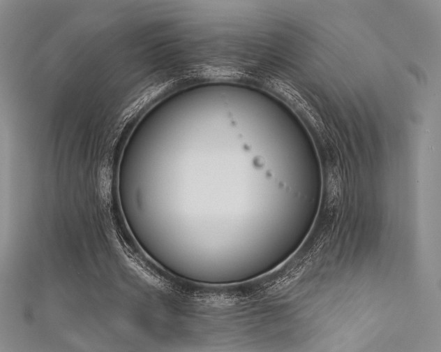 X0000111480533200907141219