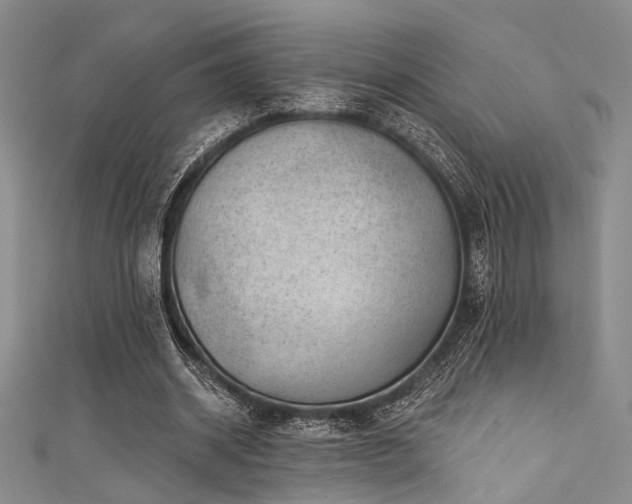 X0000111480534200907141219