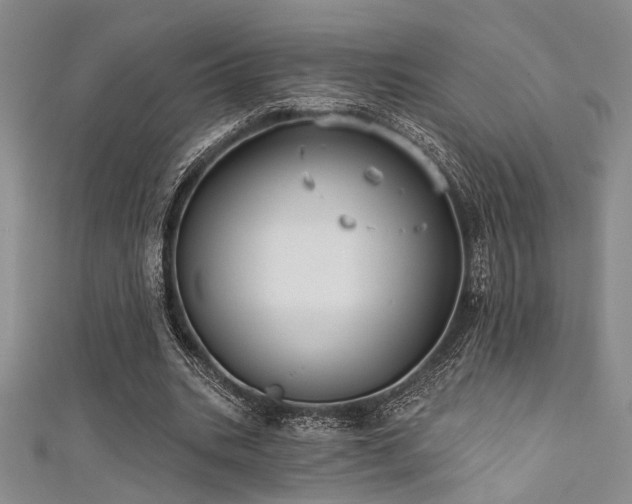 X0000111480535200907141219