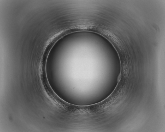 X0000111480536200907141219
