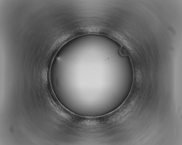 X0000111480537200907141219