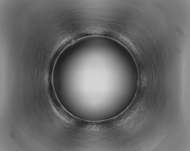 X0000111480538200907141219