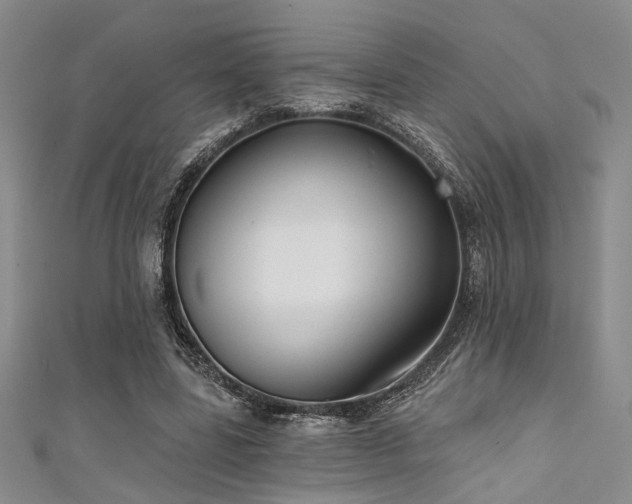 X0000111480539200907141219