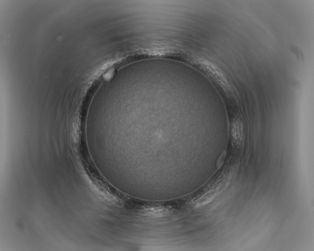 X0000111480540200907141219