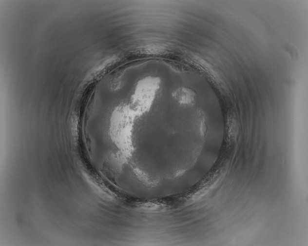 X0000111480542200907141219