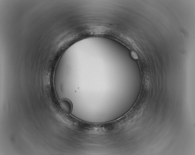 X0000111480543200907141219