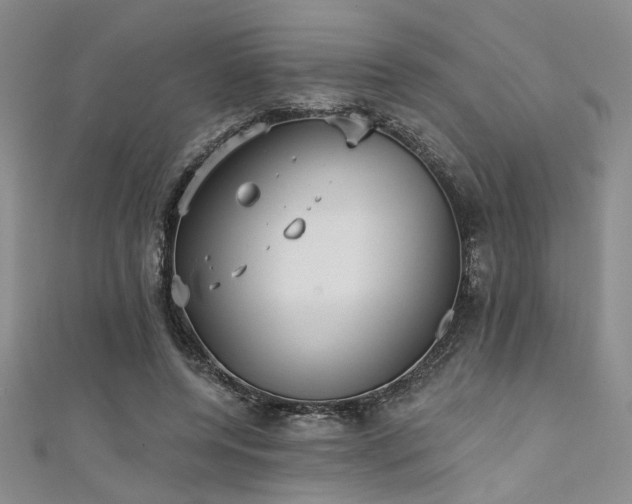 X0000111480544200907141219