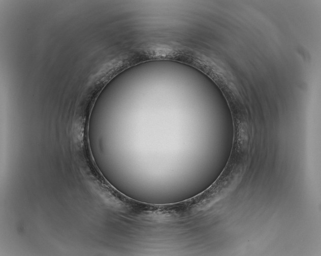 X0000111480545200907141219