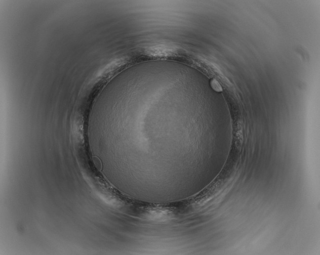 X0000111480547200907141220