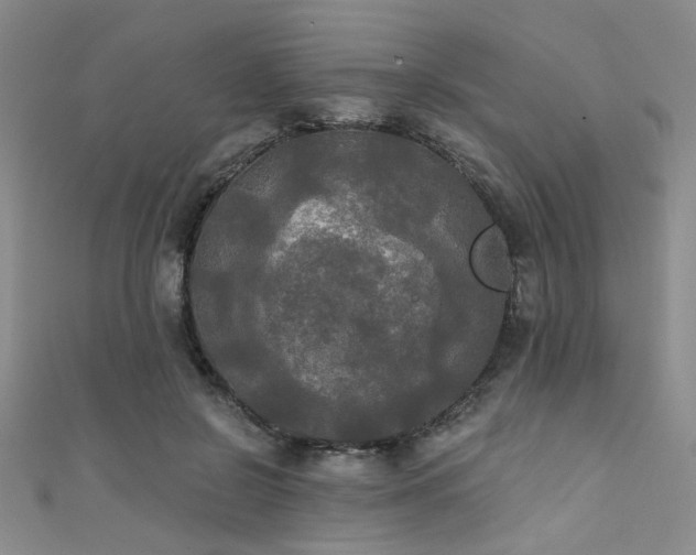 X0000111480550200907141220