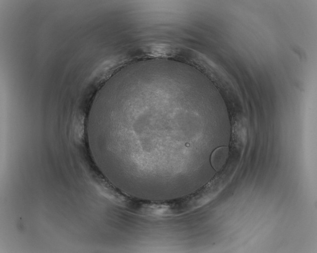 X0000111480554200907141220