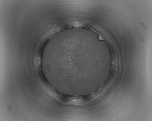 X0000111480555200907141220