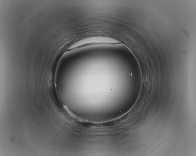 X0000111480556200907141220