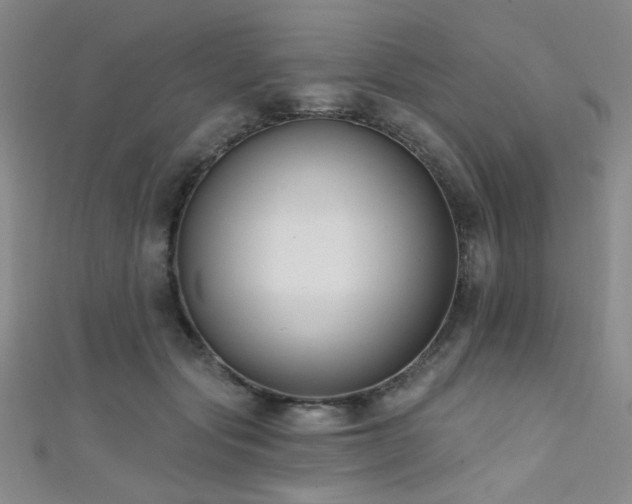 X0000111480557200907141220