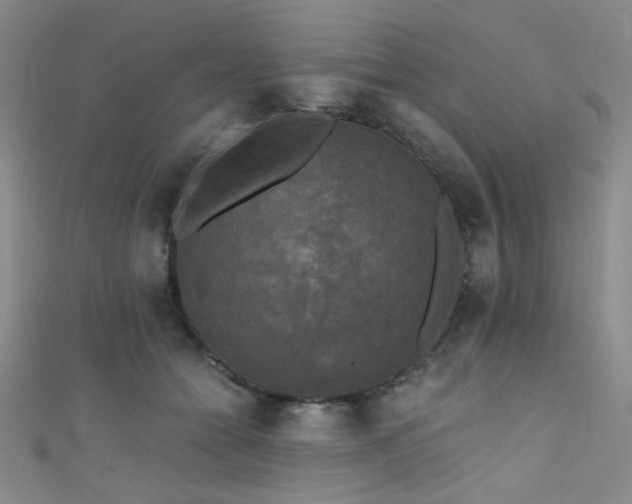 X0000111480558200907141220
