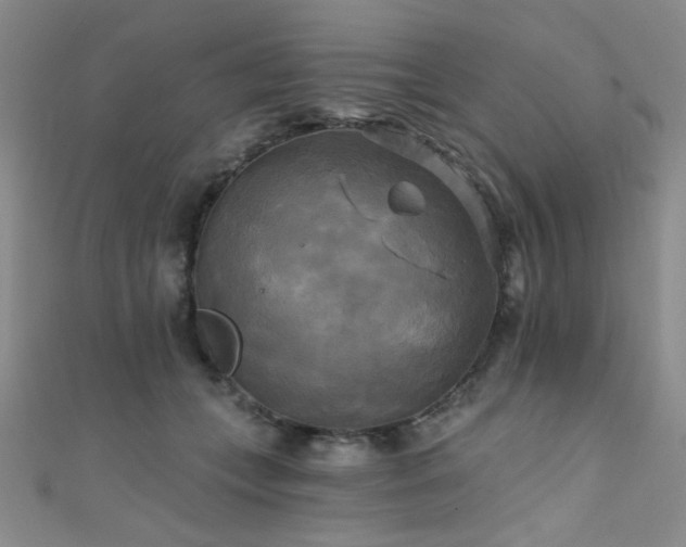 X0000111480559200907141220