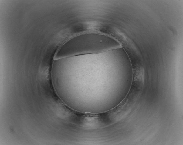 X0000111480560200907141220