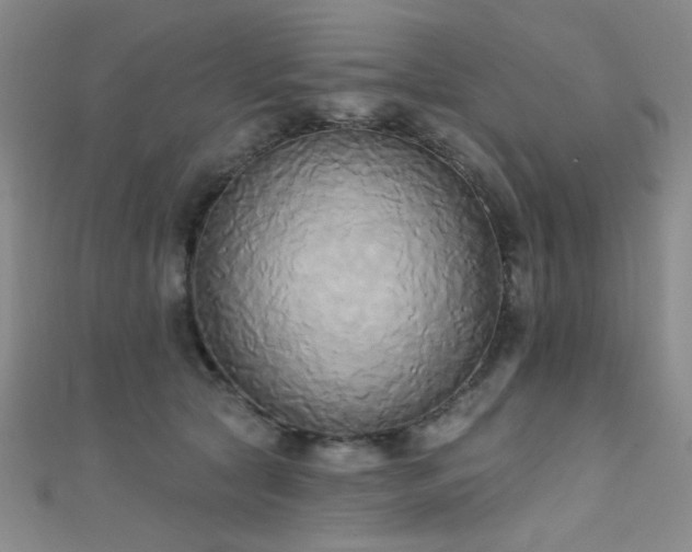 X0000111480561200907141220