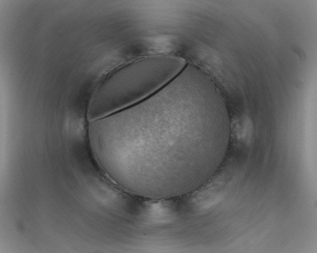 X0000111480564200907141220