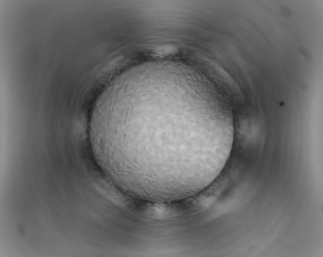 X0000111480565200907141220