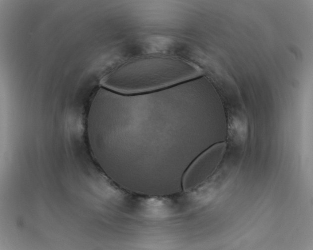 X0000111480566200907141220