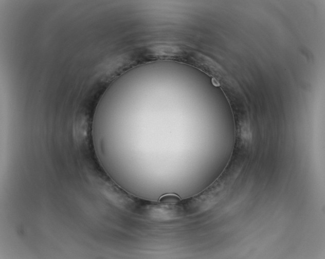 X0000111480567200907141220
