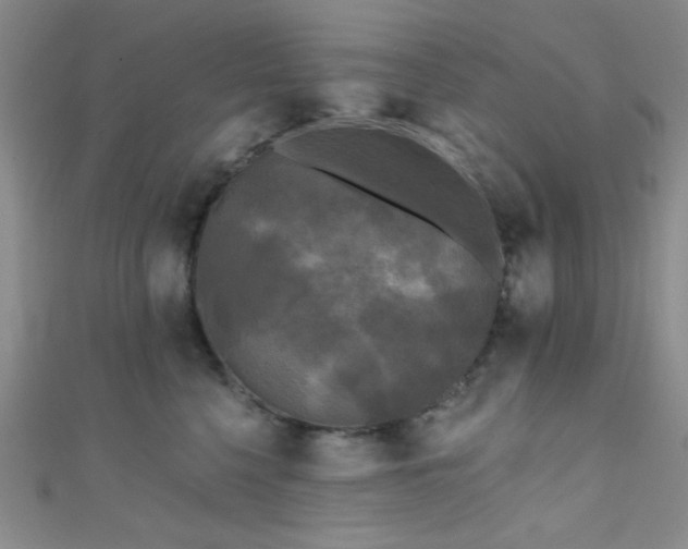 X0000111480568200907141220