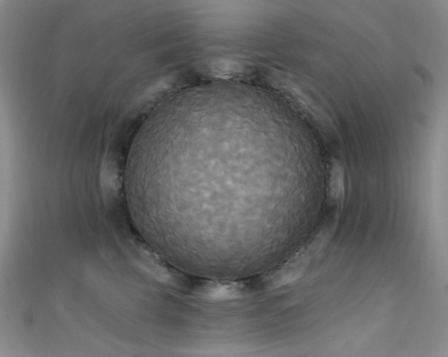 X0000111480569200907141220