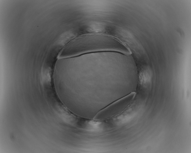 X0000111480570200907141220