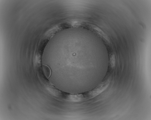 X0000111480571200907141220
