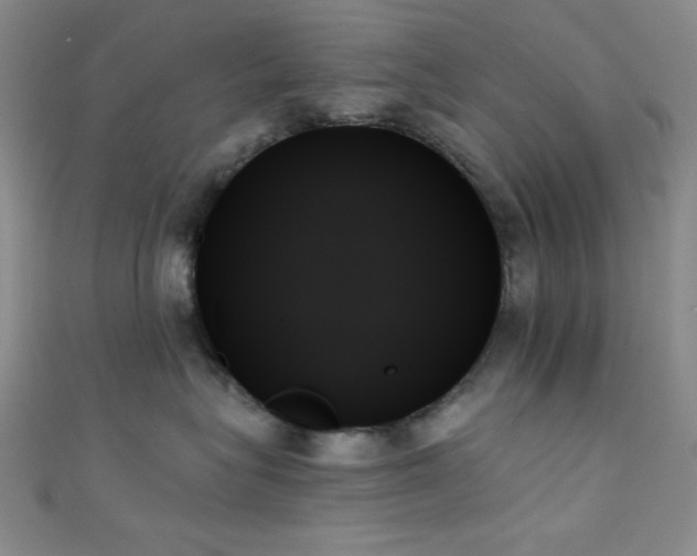 X0000111480575200907141220