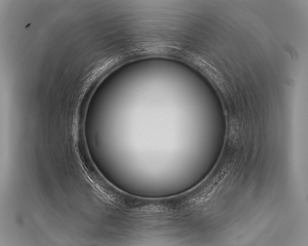 X0000111480578200907141219