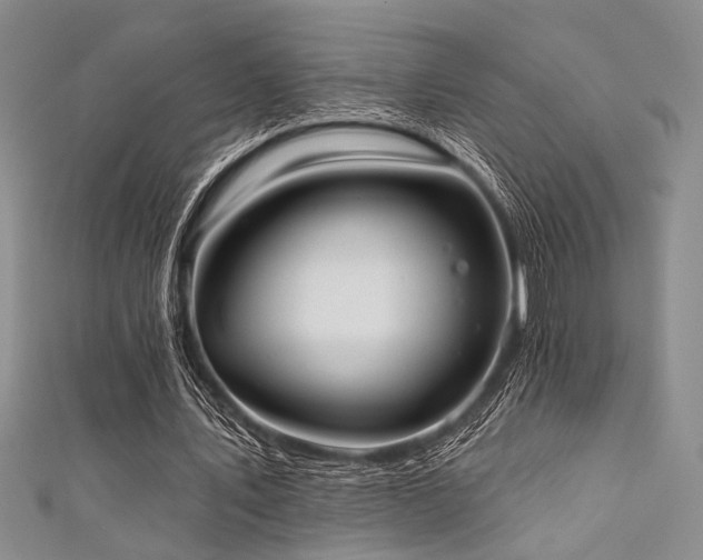 X0000111480579200907141219