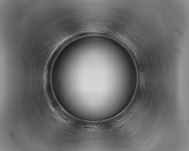 X0000111480580200907141219