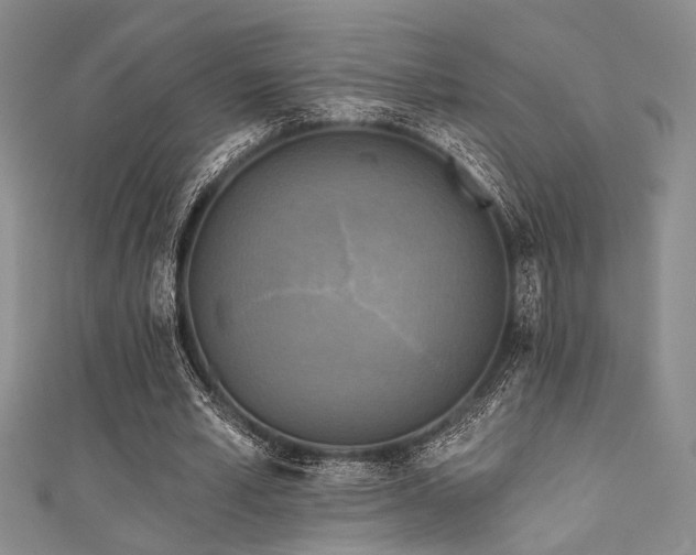 X0000111480581200907141219