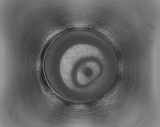 X0000111480583200907141219