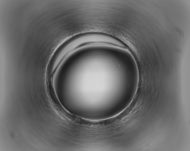 X0000111480584200907141219